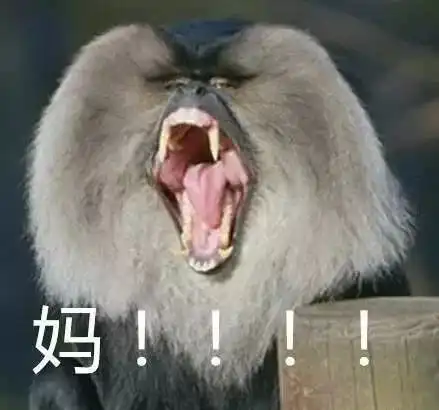  陈意涵挺5个月孕肚跑5公里,网友担心颠坏孩子医生这样说