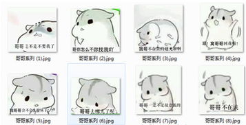  小仓鼠掉瓜子表情包下载仓鼠掉瓜子qq表情包下载免费版当易网