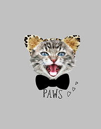  卡通动物猫咪矢量图图片素材ai模板下载14.91mb动物大全自然