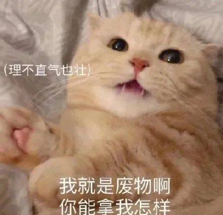  我的2020年终总结,全在这些表情包里了