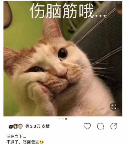  肖战发文不减了,吃面包去真是太可爱了