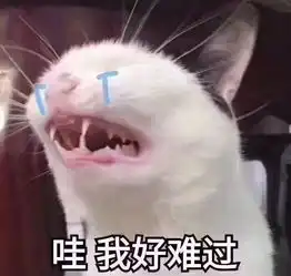  男人们,你们养不起一个家庭主妇