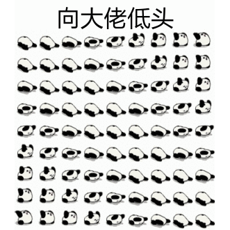  斗图打架表情包gif小子你很猖狂,看不惯来打我啊,呸一群戏精