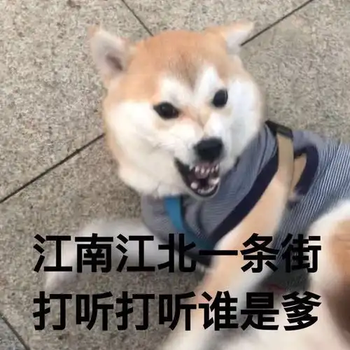  有哪些让你眼前戏一亮的表情包