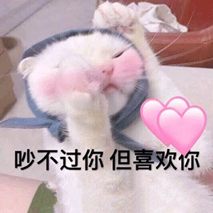  猫猫表情包你值得拥有