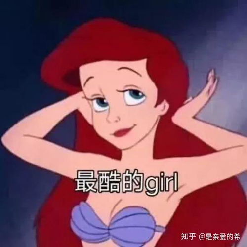  有什么关于兔子的网名