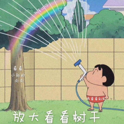  你听过哪些可爱的表白文案