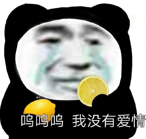  表情包沙雕表情包1442期