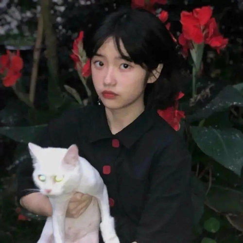  头像图片丨女生头像丨可爱的猫系女头1214