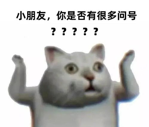  点进来看脱发青年如何挽尊