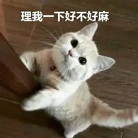  理我一下嘛表情包