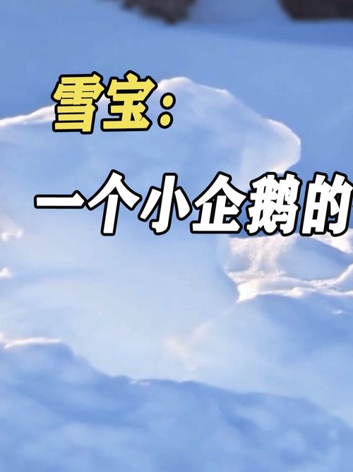  企鹅宝宝被暴风雪袭击后,怎样在一千多只企鹅中找到失散的爸爸万物皆有灵性动物世界纪录片企鹅