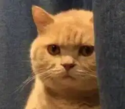  熊猫表情包到底从何而来看完你就知道了