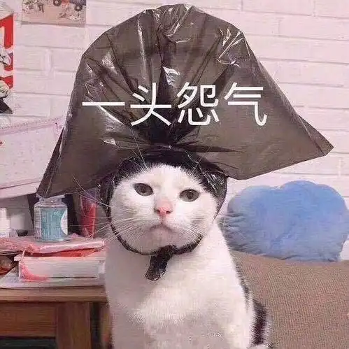 我太难了表情包搞笑版魏