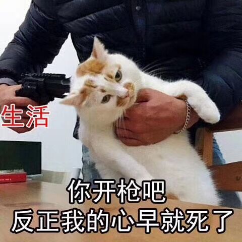  从今天开始,做一个热爱工作的人