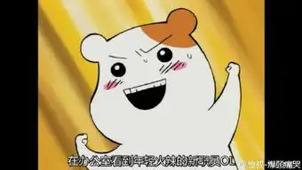  求这种小仓鼠的表情包,还有抱着瓜子的那个系列