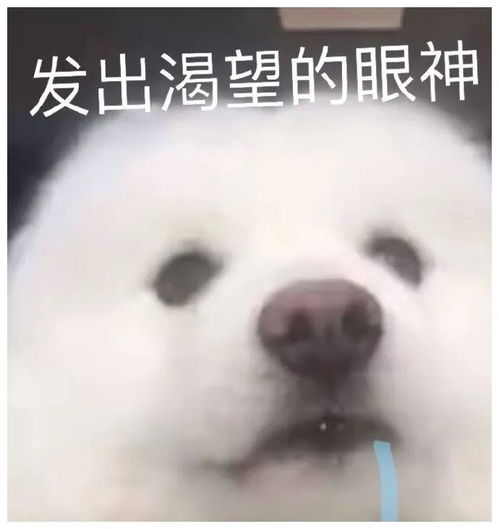  表情包丨老娘真可爱嘤嘤嘤嘤