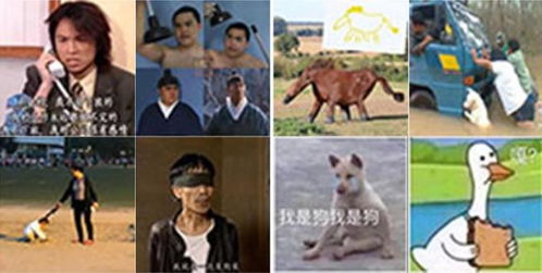  沙雕表情包合集,就当是一场梦,醒了很感动
