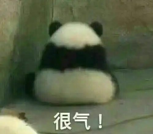  搞笑视频点击就看大熊猫大型蹦迪现场总是能给人带来欢乐原谅我笑出声