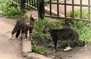  不要碰我那里