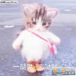  哥哥是我的救生圈表情包图片支支呜呜表情包下载乐游网游戏下载