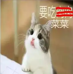 吊车图片微信表情包猫咪