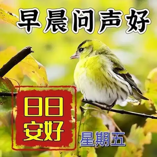  4月14日最新早上好早安表情图片大全