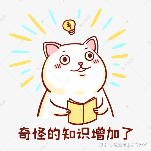 奇怪的知识猫表情包表情
