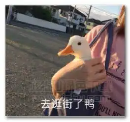  去逛街了鸭鸭鸭表情图片去逛街了鸭鸭鸭表情包完整版jz5u绿色下载站