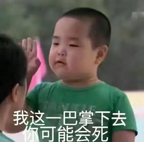 谢飞机 表情包百度云南