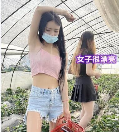 女子和男友网聊半年,带闺蜜去摘草莓,男生看清草莓价格居然溜走