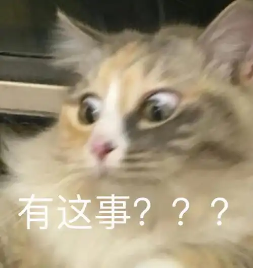  表情包分享