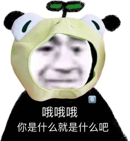  今日份表情包刚在玩手机忘记回你了不好意思啊