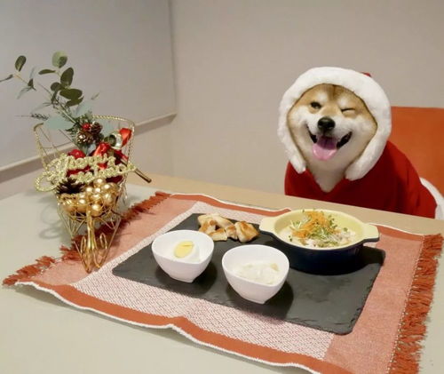  在日本吃完自助餐后,打包拿走算犯法吗