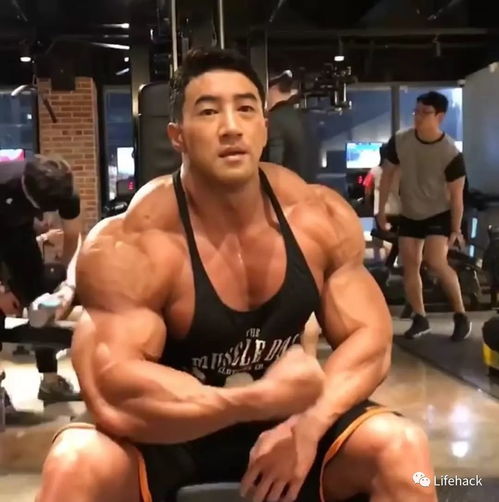 肌肉男头像微信头像黄哲