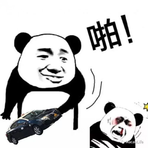  澳门黑的又出嚟搞搞阵连地胆外国佬都唔放过