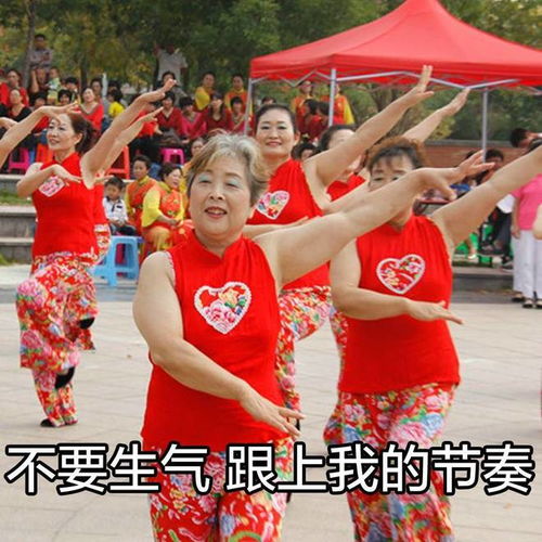  coach这些来自凡间的操作,就是不怕伤了仙女们的心