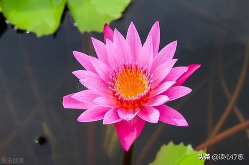  走进火葬场,目睹全过程,才能看懂人生
