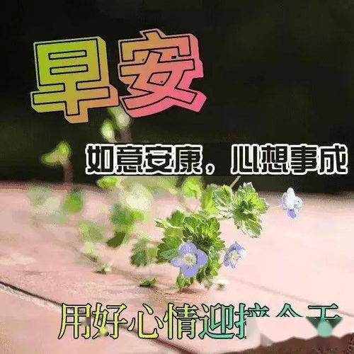  你若阳光,便会灿烂你若善良,人间温润,早安
