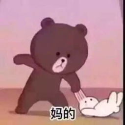  共享单车这是要制霸上海高架了不想活能不能不要拖累别人