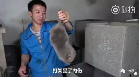 华农兄弟表情包中暑抑郁