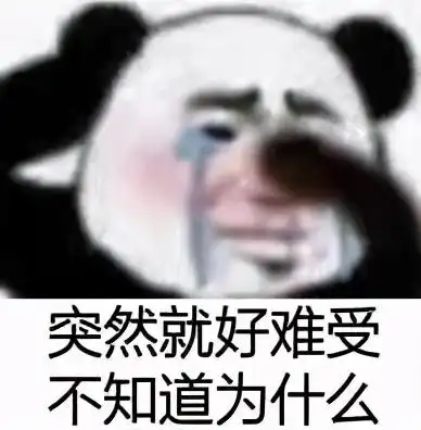  熊猫头沙雕表情包可以帮我买包盐吗我觉得我们的感情变淡了