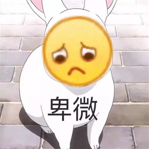  知名撸猫主播直播喝水月入百万
