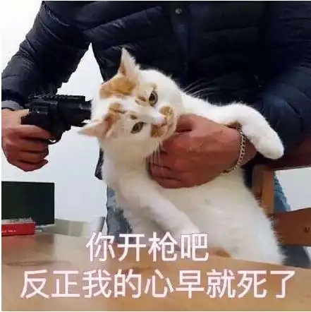  梁家辉刘德华张学友你们也太搞笑了吧哈哈哈