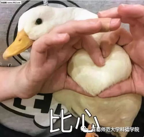  预热再次见到你很开心