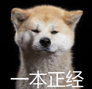 一本正经的表情包