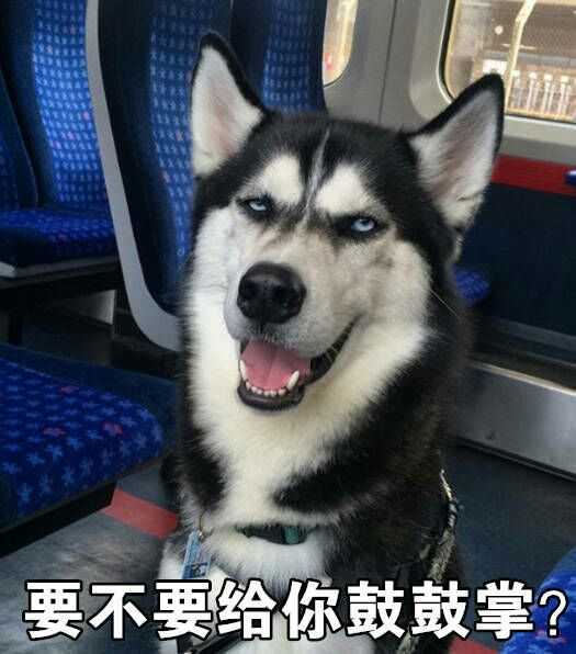 掀桌子表情包动图二哈