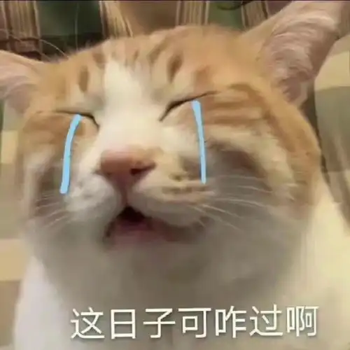  轻松一刻为什么老一辈,喜欢在桌子上放块玻璃