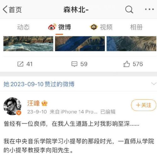  真神奇从黄晓明到汪峰,他们的女友神似前妻