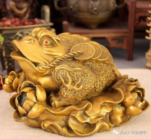  招财风水貔貅和金蝉的风水摆放位,如何清理开光的风水摆件